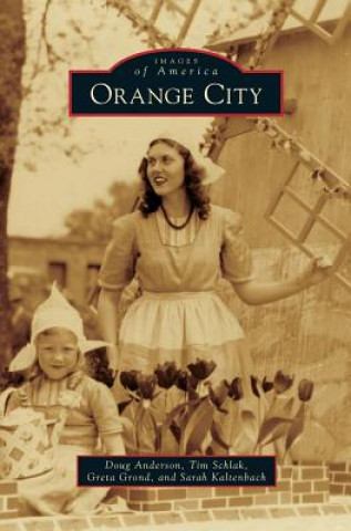 Книга Orange City Doug Anderson