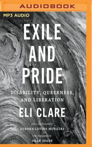 Digital EXILE & PRIDE                M Eli Clare
