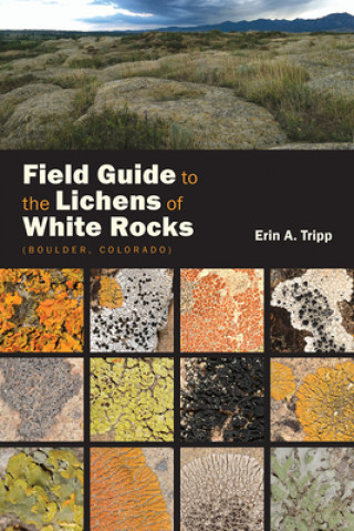 Kniha Field Guide to the Lichens of White Rocks Erin Tripp
