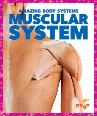 Book Muscular System Karen Latchana Kenney