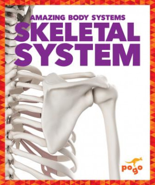Книга Skeletal System Karen Latchana Kenney