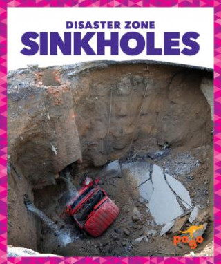 Książka Sinkholes Vanessa Black