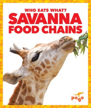 Kniha Savanna Food Chains Rebecca Pettiford