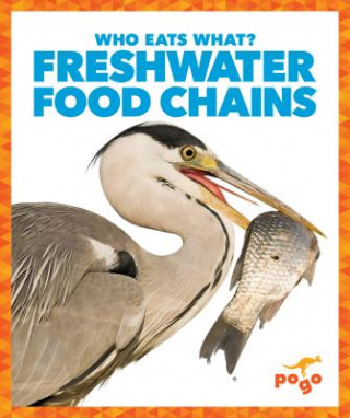 Kniha Freshwater Food Chains Rebecca Pettiford