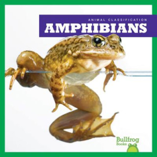 Kniha Amphibians Jenny Fretland Vanvoorst