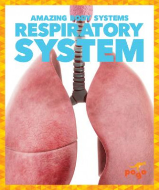 Kniha Respiratory System Karen Latchana Kenney