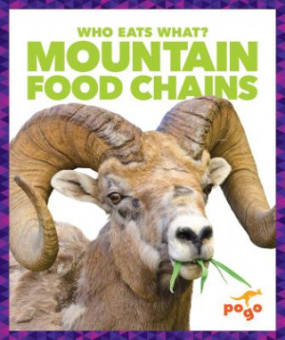 Kniha Mountain Food Chains Rebecca Pettiford