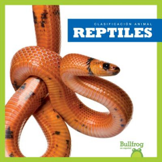 Kniha Reptiles (Reptiles) Erica Donner