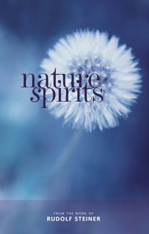 Kniha Nature Spirits Rudolf Steiner