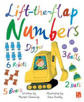 Knjiga Lift-The-Flap Numbers Salariya