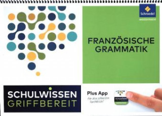 Kniha Schulwissen griffbereit - Französische Grammatik Catherine Gagnon