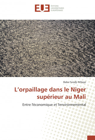 Könyv L'orpaillage dans le Niger supérieur au Mali Baba Faradji NDiaye
