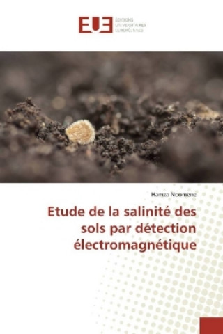 Kniha Etude de la salinité des sols par détection électromagnétique Hamza Noomene