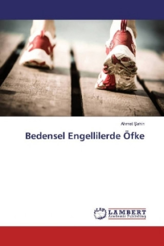 Kniha Bedensel Engellilerde Öfke Ahmet Sahin
