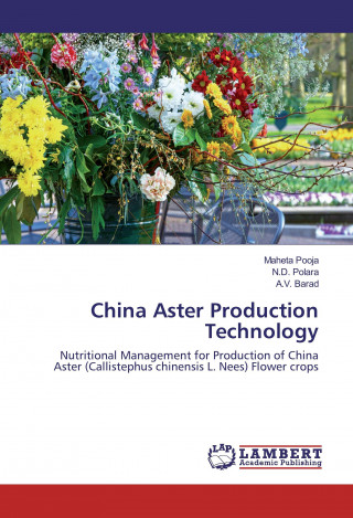 Carte China Aster Production Technology Maheta Pooja