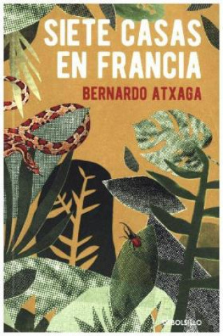 Kniha Siete casas en Francia Bernardo Atxaga