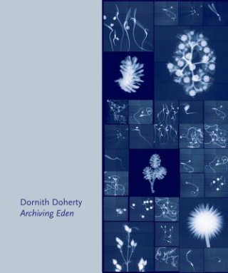 Kniha Dornith Doherty: Archiving Eden Dornith Doherty
