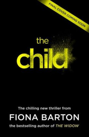 Buch The Child Fiona Barton