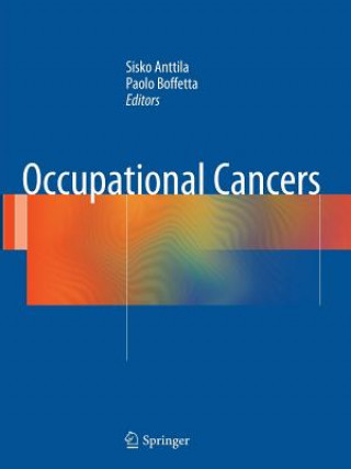 Buch Occupational Cancers Sisko Anttila