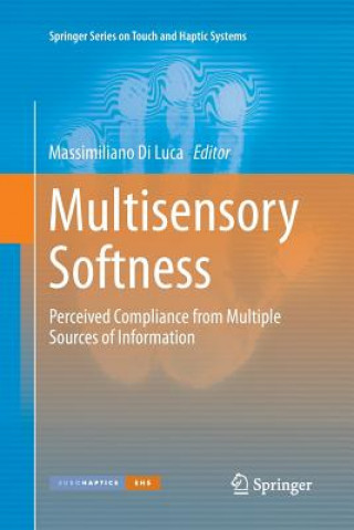Libro Multisensory Softness Massimiliano Di Luca