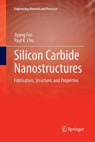 Kniha Silicon Carbide Nanostructures Jiyang Fan