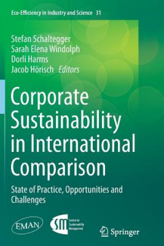 Kniha Corporate Sustainability in International Comparison Dorli Harms