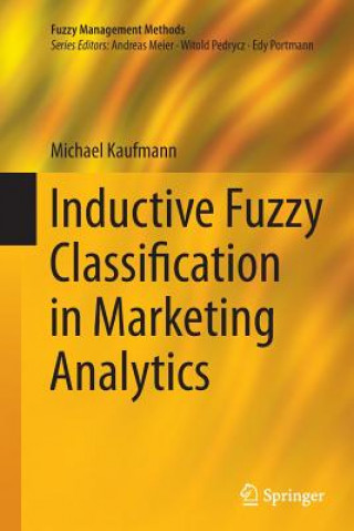 Könyv Inductive Fuzzy Classification in Marketing Analytics Michael Kaufmann