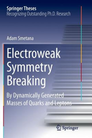 Buch Electroweak Symmetry Breaking Mgr.Adam Smetana