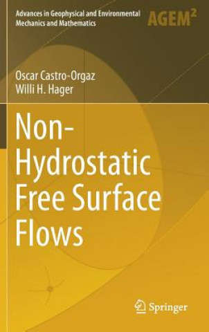 Книга Non-Hydrostatic Free Surface Flows Oscar Castro-Orgaz