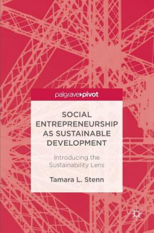 Kniha Social Entrepreneurship as Sustainable Development Tamara L. Stenn
