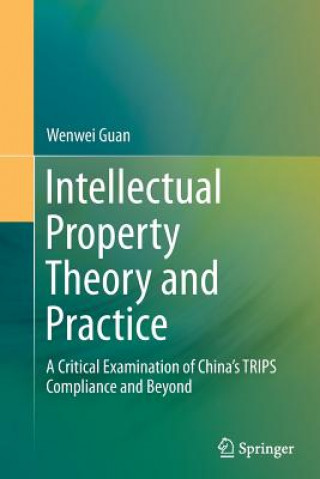 Libro Intellectual Property Theory and Practice Wenwei Guan