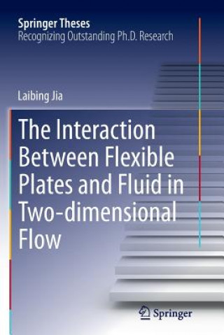 Kniha Interaction Between Flexible Plates and Fluid in Two-dimensional Flow Laibing Jia