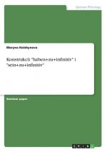 Könyv Konstrukcii haben+zu+infinitiv i sein+zu+infinitiv Maryna Haishynava