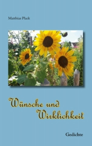 Βιβλίο Wünsche und Wirklichkeit Matthias Plack