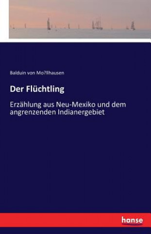 Kniha Fluchtling Balduin Von Mo&#776;llhausen