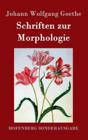 Książka Schriften zur Morphologie Johann Wolfgang Goethe