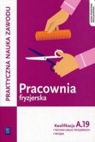 Carte Pracownia fryzjerska Kwalifikacja A.19 Praktyczna nauka zawodu Aleksandra Jakubik