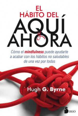 Kniha EL HÁBITO DEL AQUÍ AHORA HUGH BYRNE