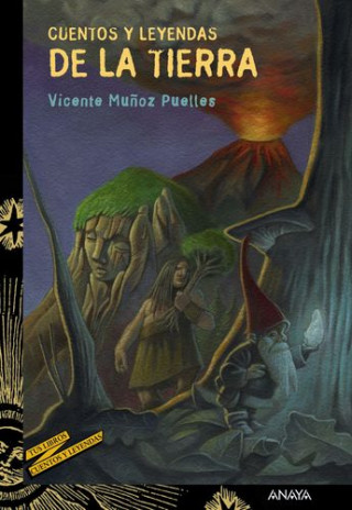 Libro Cuentos y leyendas de la Tierra VICENTE MUÑOZ PUELLES