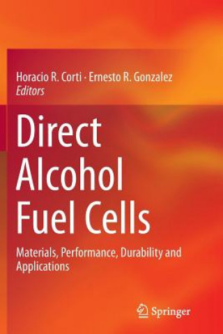 Könyv Direct Alcohol Fuel Cells Horacio R. Corti