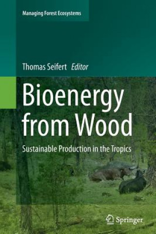 Livre Bioenergy from Wood Thomas Seifert