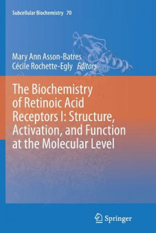 Książka Biochemistry of Retinoic Acid Receptors I: Structure, Activation, and Function at the Molecular Level Mary Ann Asson-Batres