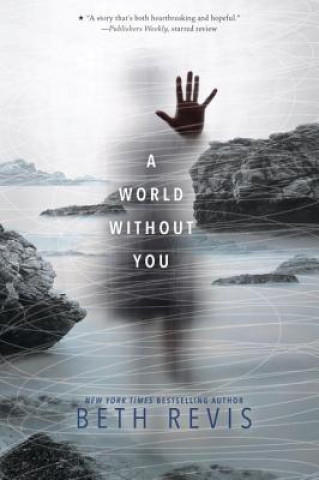 Книга World Without You Beth Revis