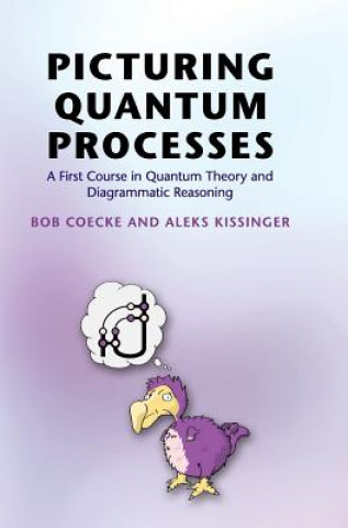 Buch Picturing Quantum Processes Bob Coecke