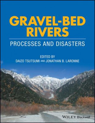 Kniha Gravel-Bed Rivers - Processes and Disasters Daizo Tsutsumi