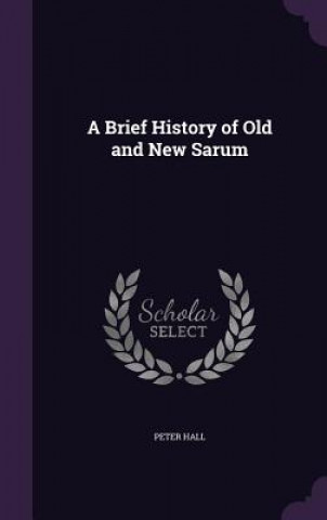 Livre A BRIEF HISTORY OF OLD AND NEW SARUM Peter Hall