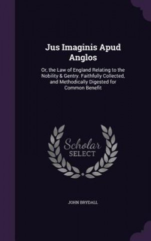 Книга JUS IMAGINIS APUD ANGLOS: OR, THE LAW OF JOHN BRYDALL
