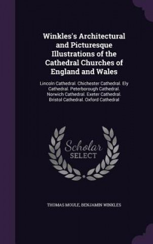 Libro WINKLES'S ARCHITECTURAL AND PICTURESQUE THOMAS MOULE