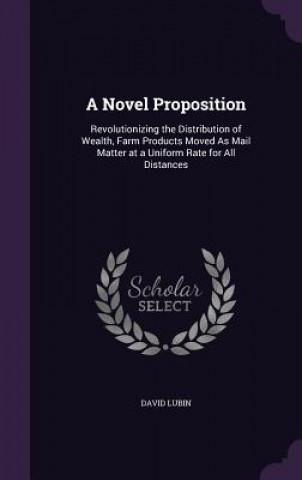 Kniha A NOVEL PROPOSITION: REVOLUTIONIZING THE DAVID LUBIN