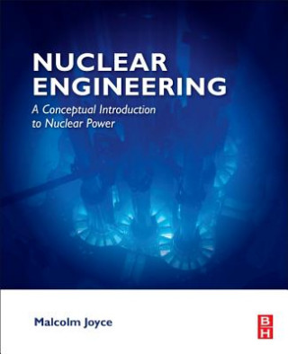 Könyv Nuclear Engineering Malcolm Joyce